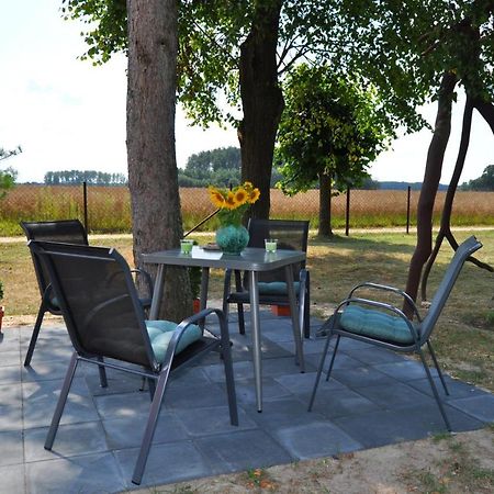 Agroturystyka "Lesne Zacisze Na Podlasiu" Tuczna Extérieur photo