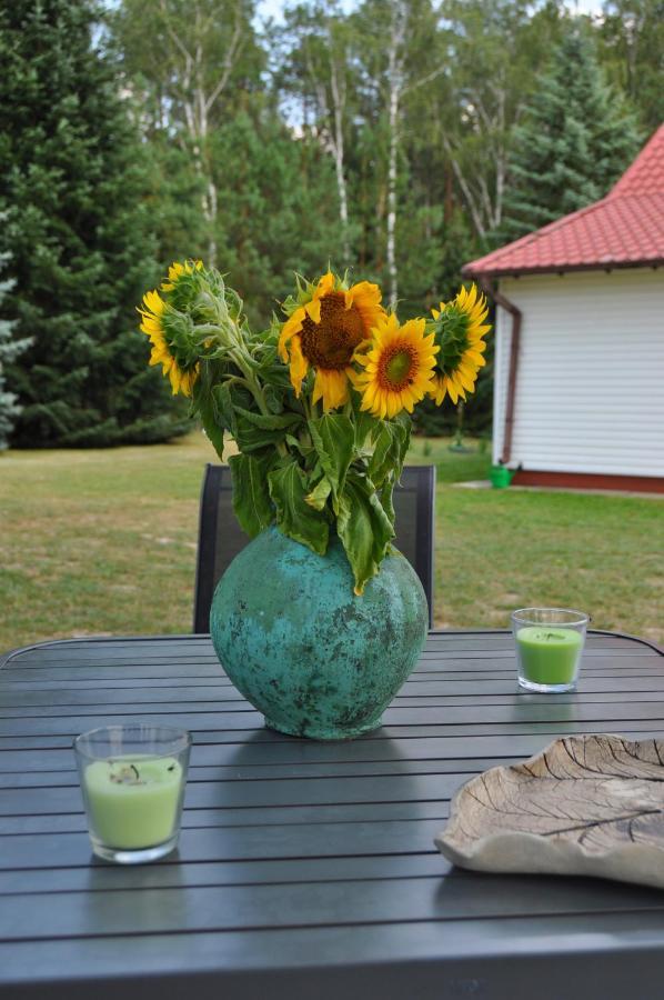 Agroturystyka "Lesne Zacisze Na Podlasiu" Tuczna Extérieur photo