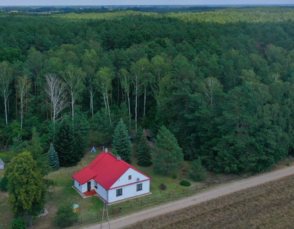 Agroturystyka "Lesne Zacisze Na Podlasiu" Tuczna Extérieur photo